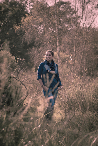 Herbst in der Heide