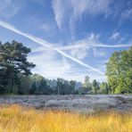 Herbst in der Heide