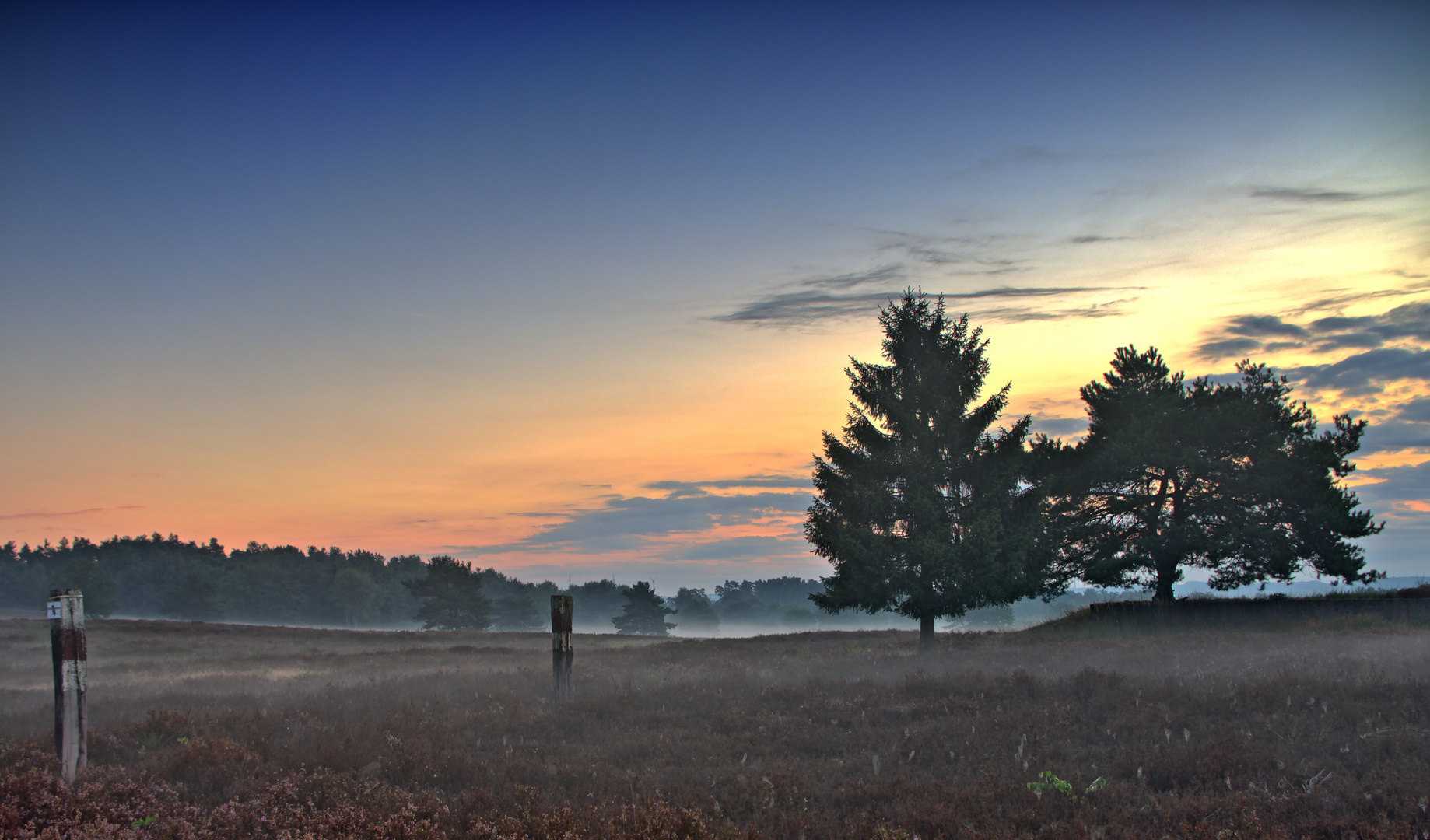 Herbst in der Heide