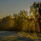 Herbst in der Heide