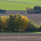 Herbst in der Helftaer Flur