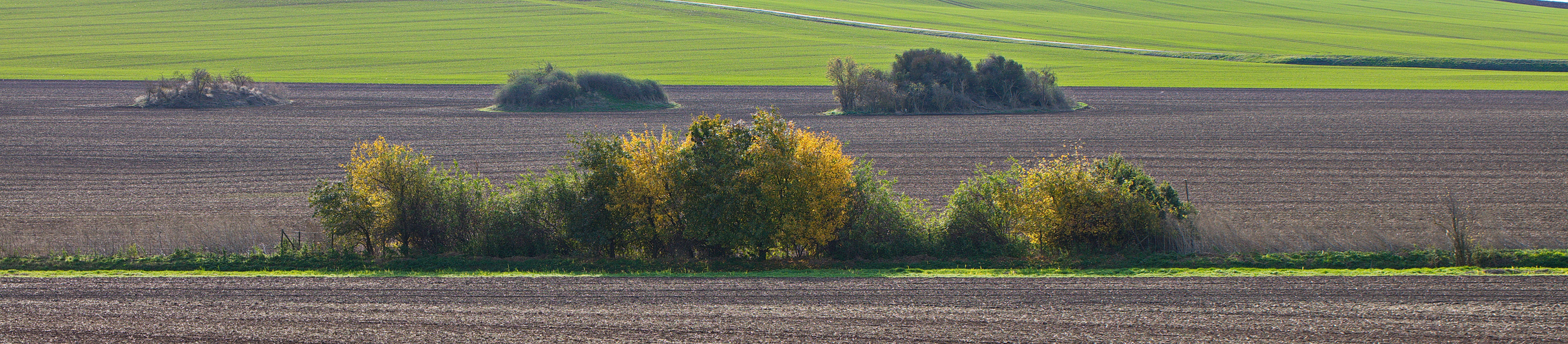 Herbst in der Helftaer Flur