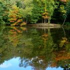 Herbst in der Hildener Heide