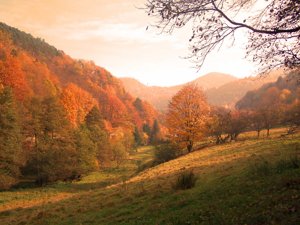 Herbst in der Hirschbach - Bühlertal