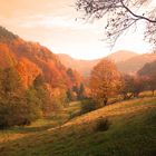 Herbst in der Hirschbach - Bühlertal