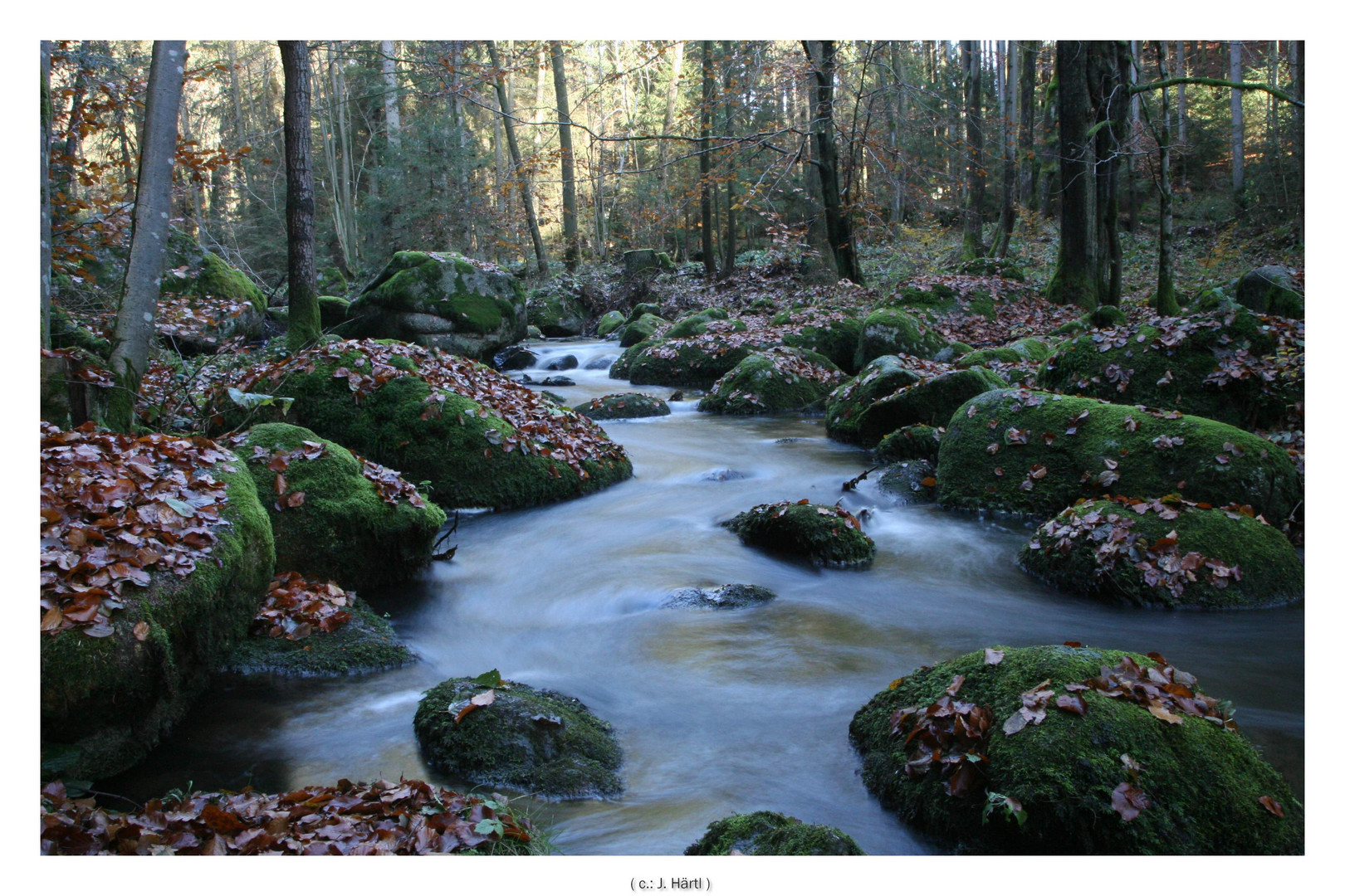 Herbst in der Hölle