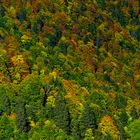 Herbst in der Höllentalklamm