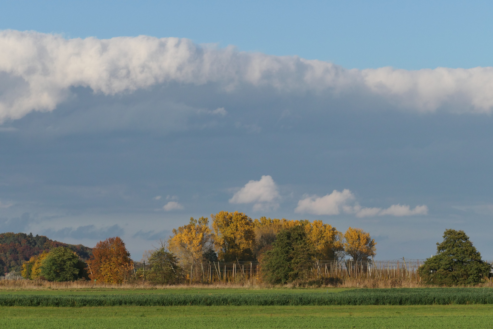 Herbst in der Holledau