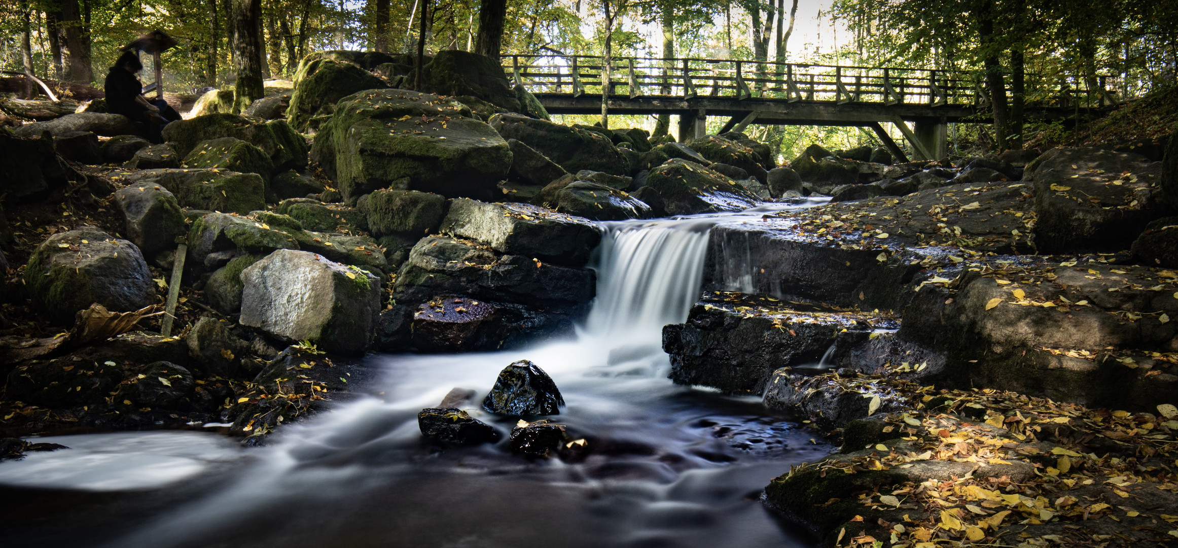 Herbst in der Holzbachschlucht