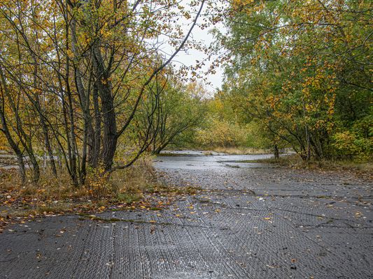 Herbst in der Industrie-Brache 2 Stolberg Rhld.