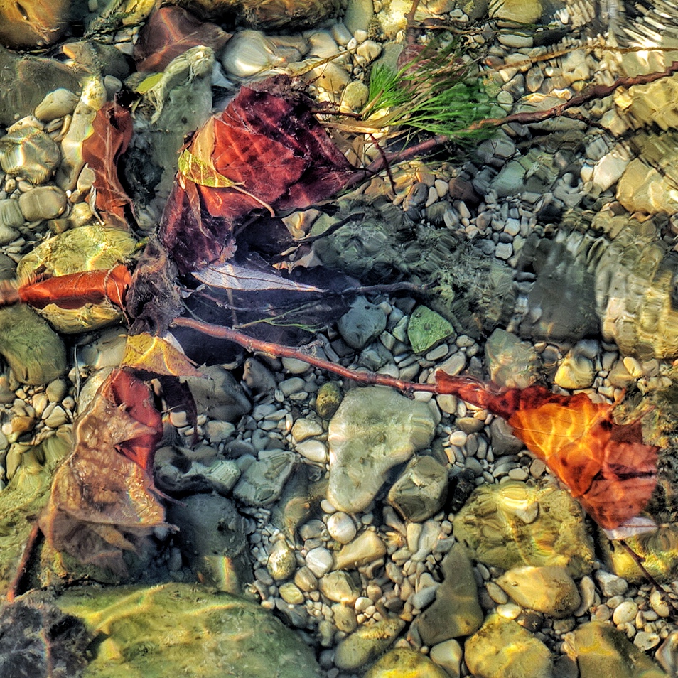 Herbst in der Isar