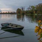 Herbst in der Isarau