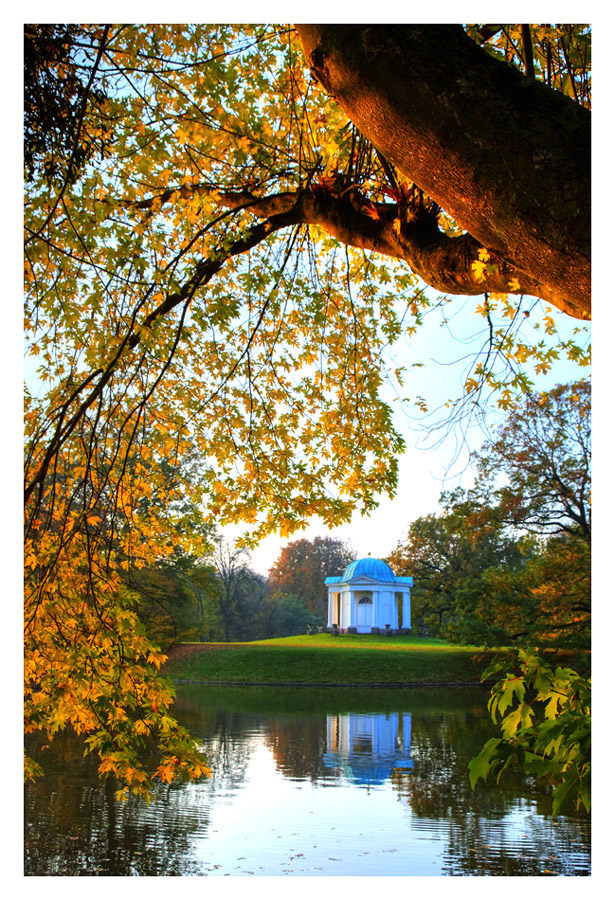 Herbst in der Karlsaue 4