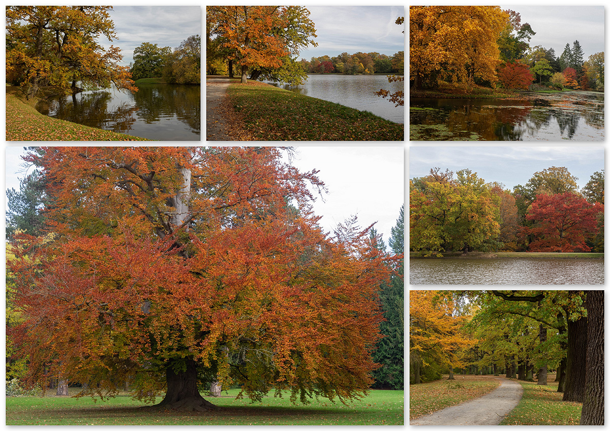 Herbst in der Karlsaue Kassel