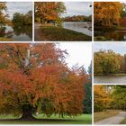 Herbst in der Karlsaue Kassel