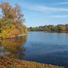 Herbst in der Karlsaue Kassel