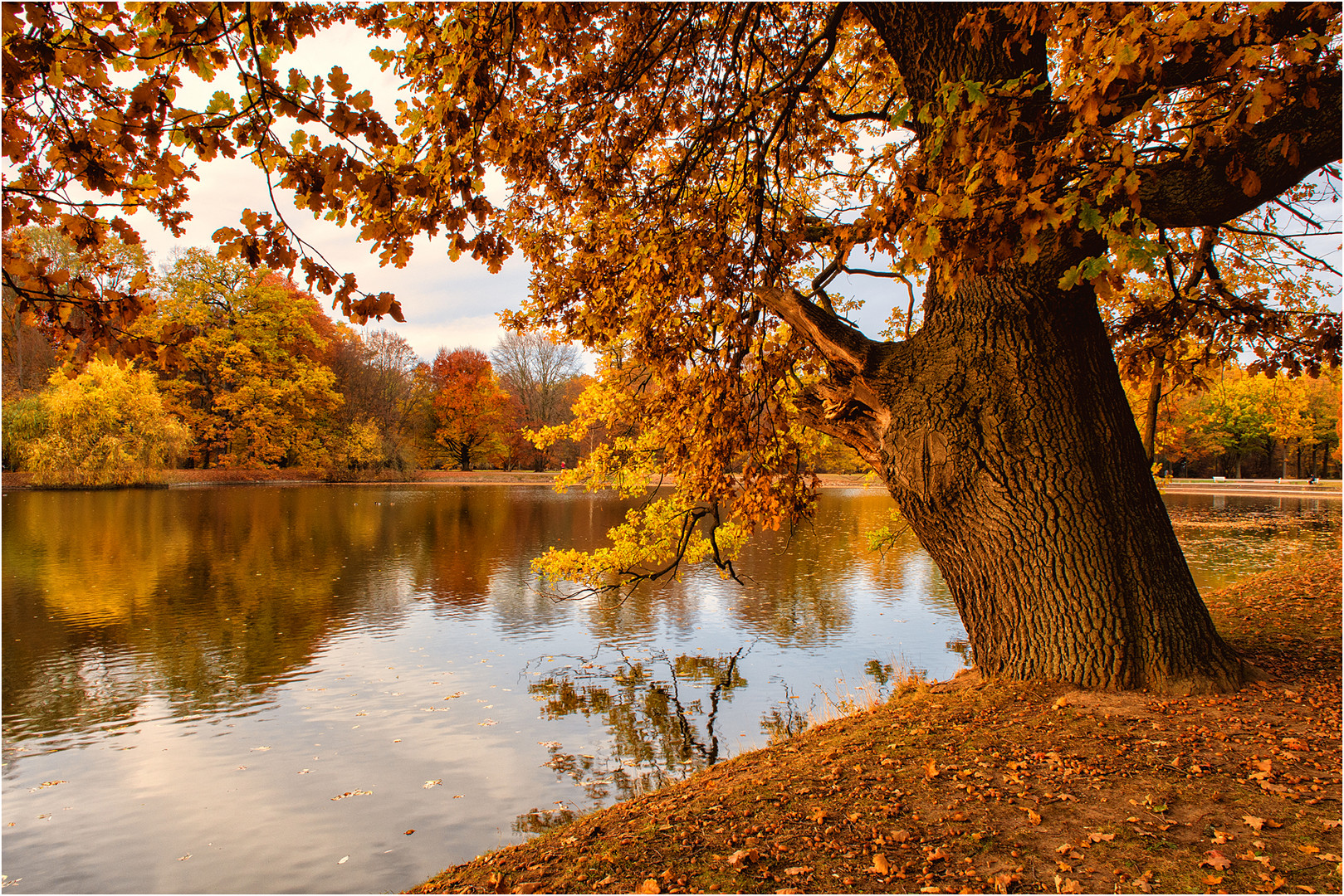 Herbst in der Karlsaue von Kassel