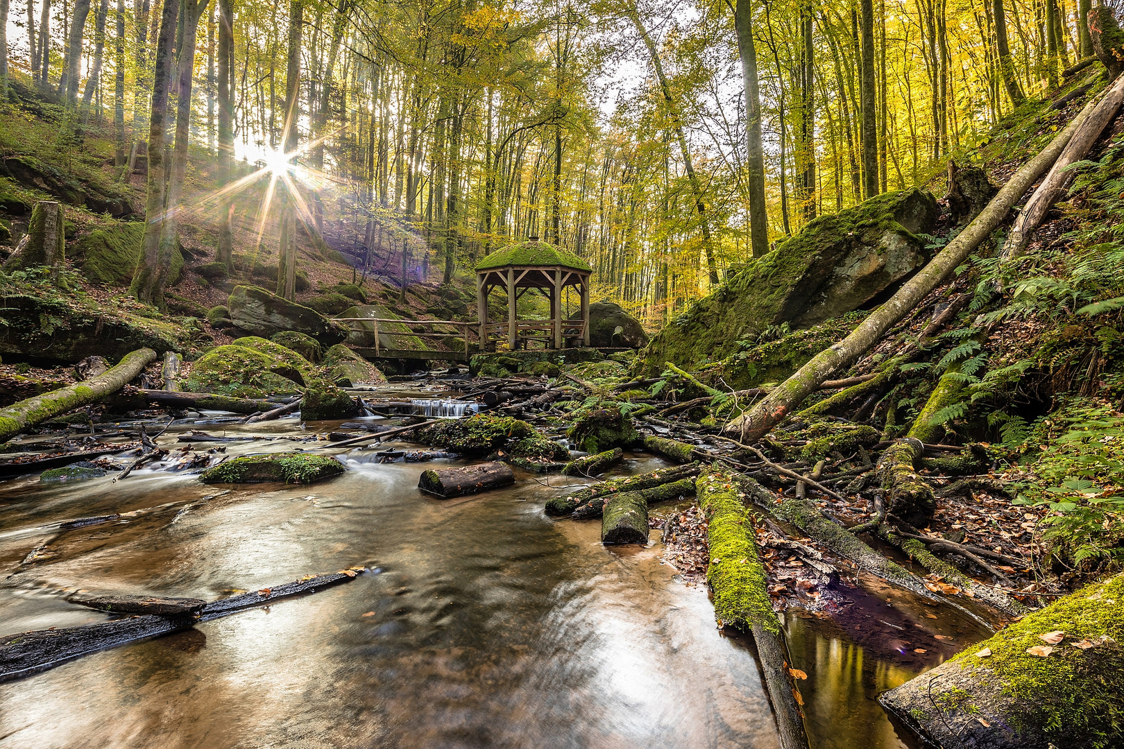 Herbst in der Karlstalschlucht