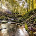 Herbst in der Karlstalschlucht