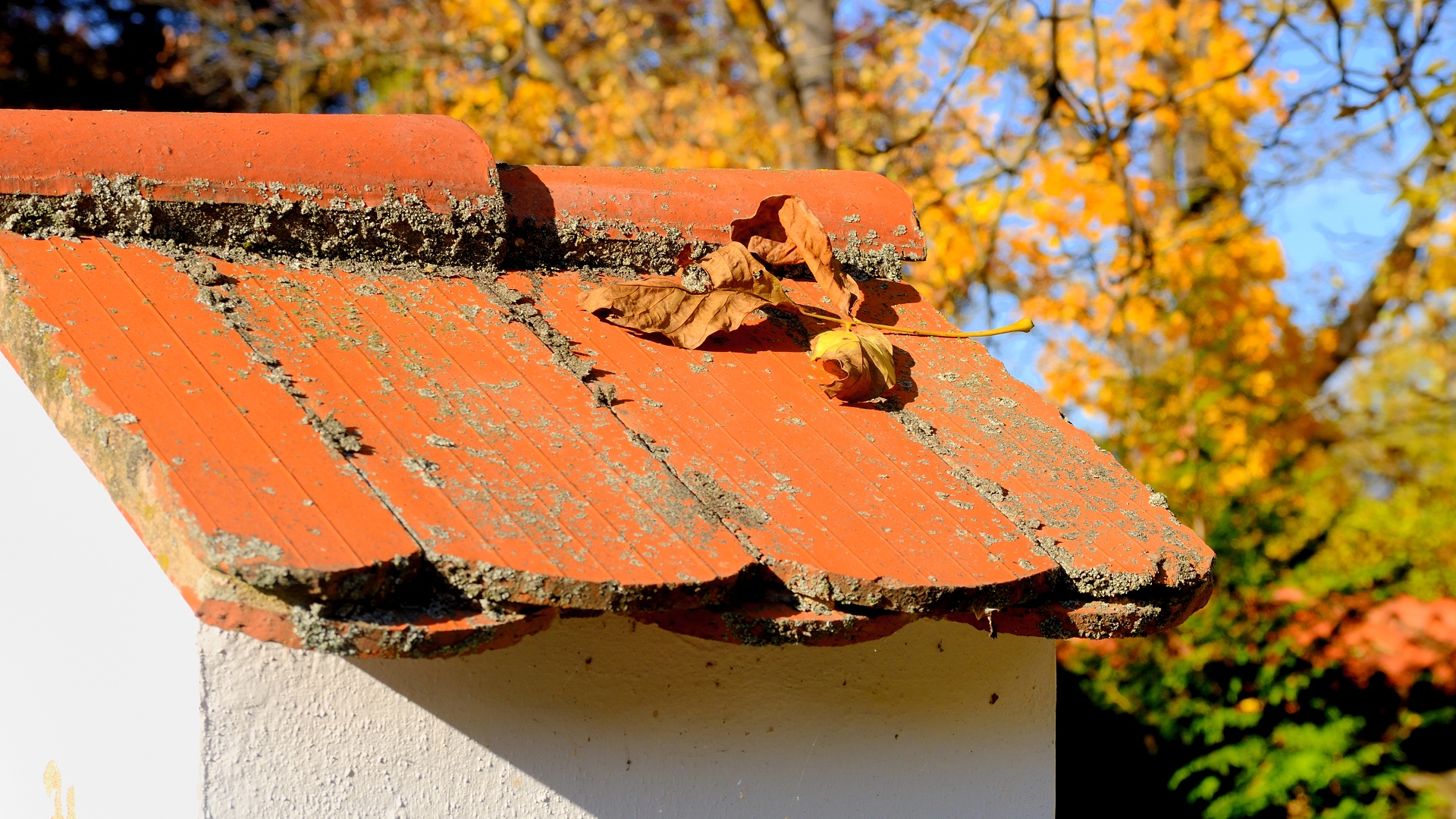 herbst in der kellergasse