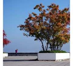 Herbst in der Kiste