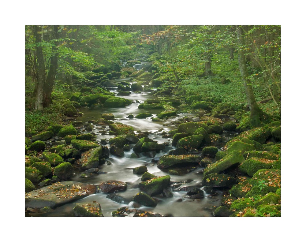 Herbst in der Klamm