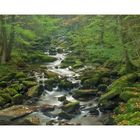 Herbst in der Klamm