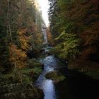 Herbst in der Klamm