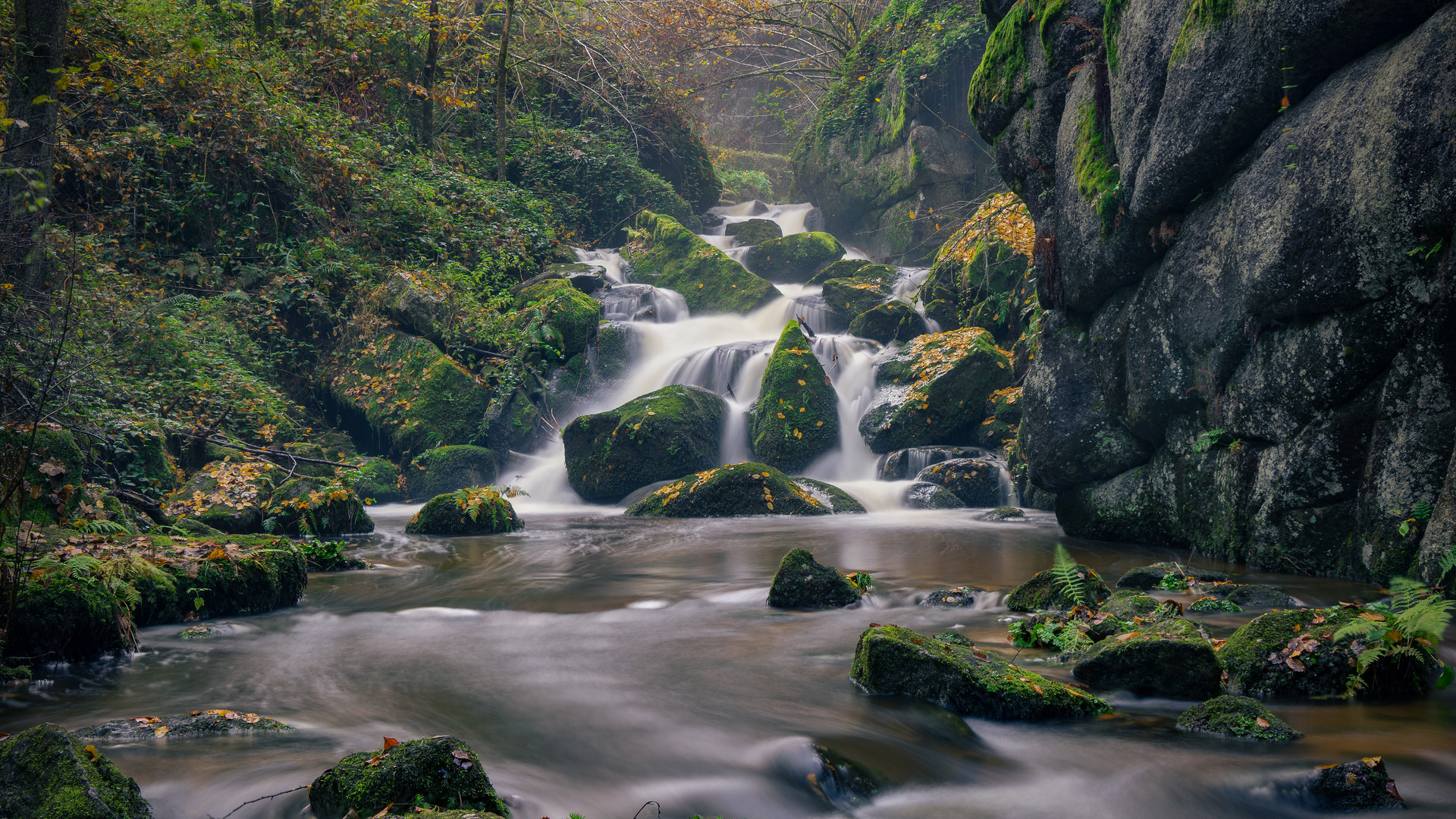 Herbst in der Klamm