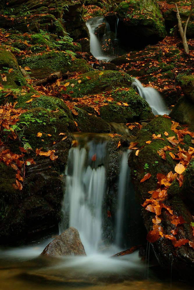 Herbst in der Klause