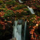 Herbst in der Klause