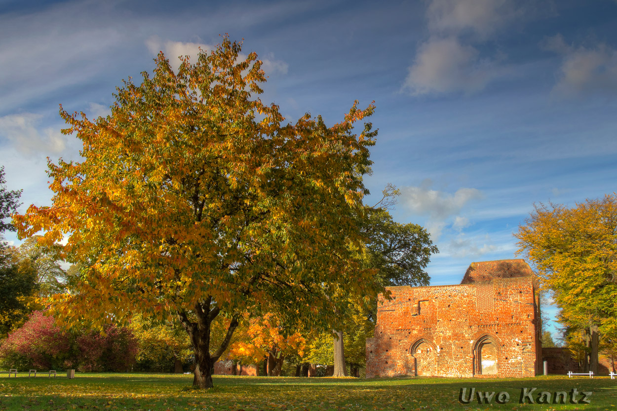 Herbst in der Klosterruine