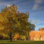 Herbst in der Klosterruine