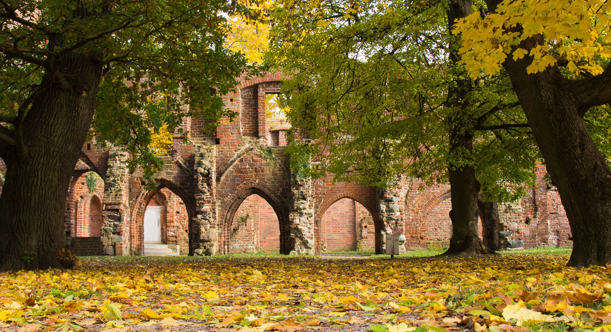 Herbst in der Klosterruine 2 Foto & Bild  deutschland, europe, mecklenburg- vorpommern Bilder 