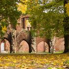 Herbst in der Klosterruine 2