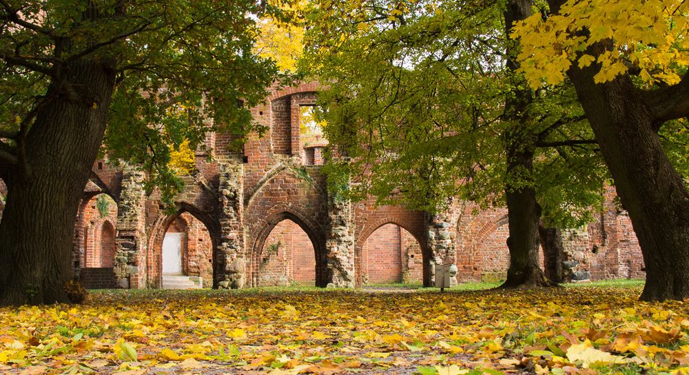 Herbst in der Klosterruine 2