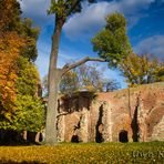 Herbst in der Klosterruine 2