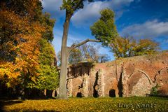 Herbst in der Klosterruine 2