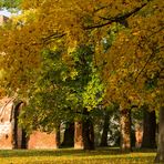 Herbst in der Klosterruine