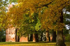 Herbst in der Klosterruine