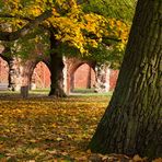 Herbst in der Klosterruine 3