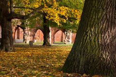 Herbst in der Klosterruine 3