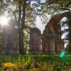 Herbst in der Klosterruine 3