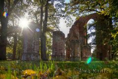 Herbst in der Klosterruine 3