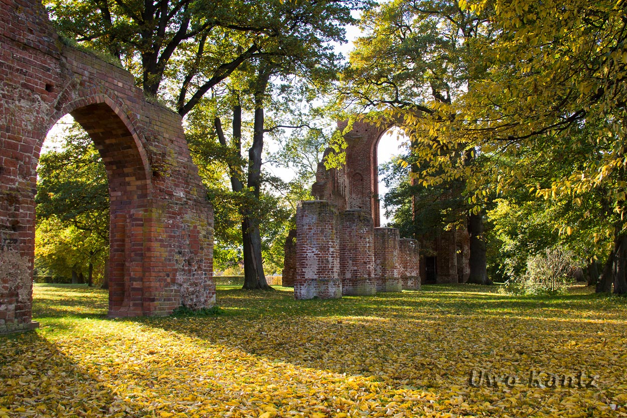 Herbst in der Klosterruine 4