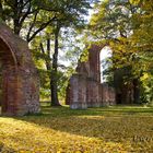 Herbst in der Klosterruine 4