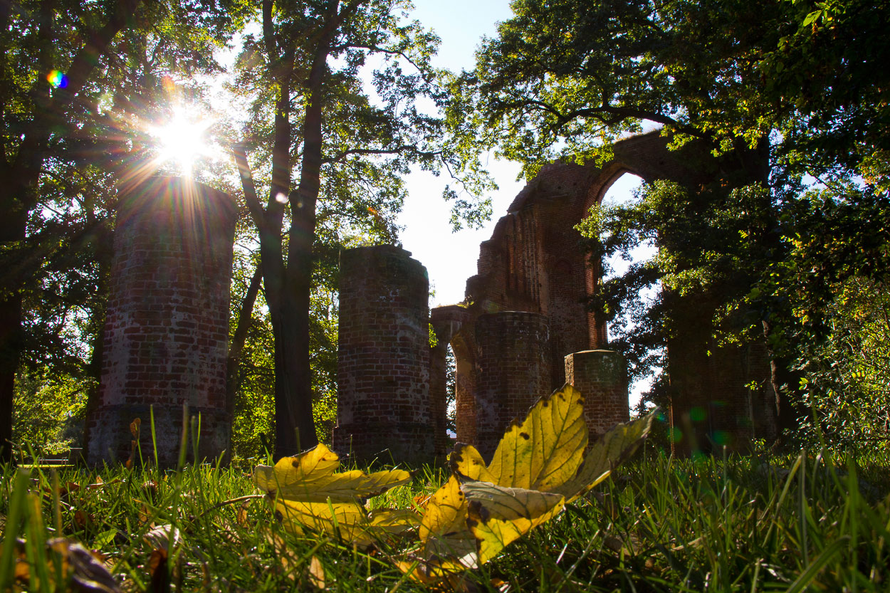 Herbst in der Klosterruine