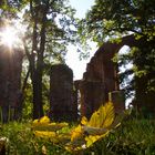 Herbst in der Klosterruine