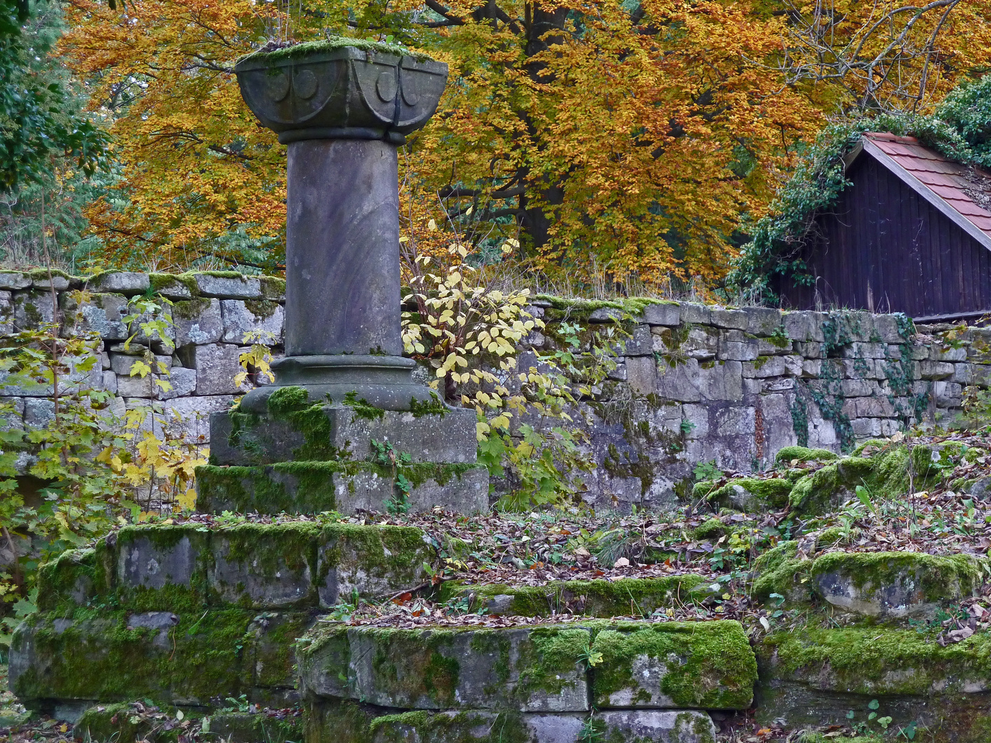 Herbst in der Klosterruine Georgenthal