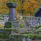 Herbst in der Klosterruine Georgenthal